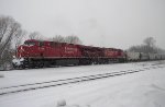 CP 8719